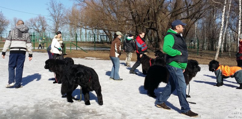 Фотография № 177087