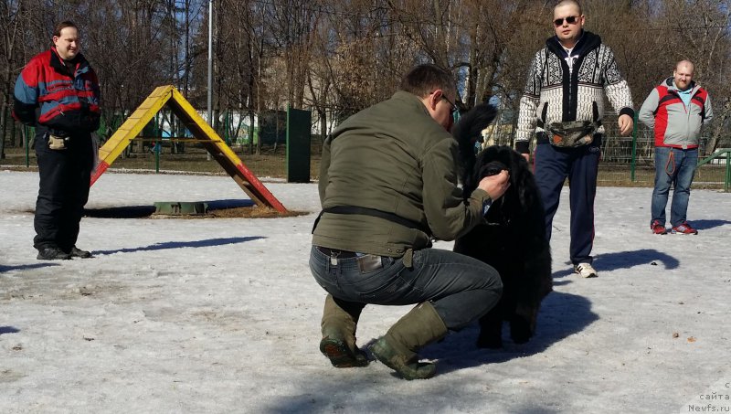 Фото: Андрей Васильцов, Бэк, Кирилл, Леонид, Михаил Михайлов