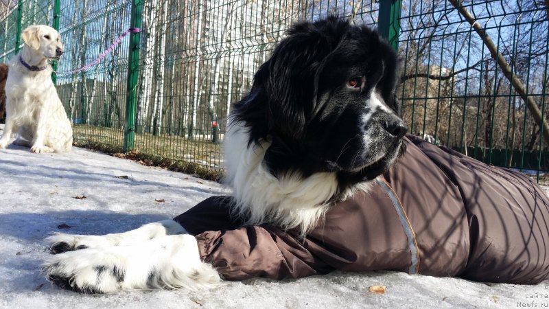 Фотография № 177122