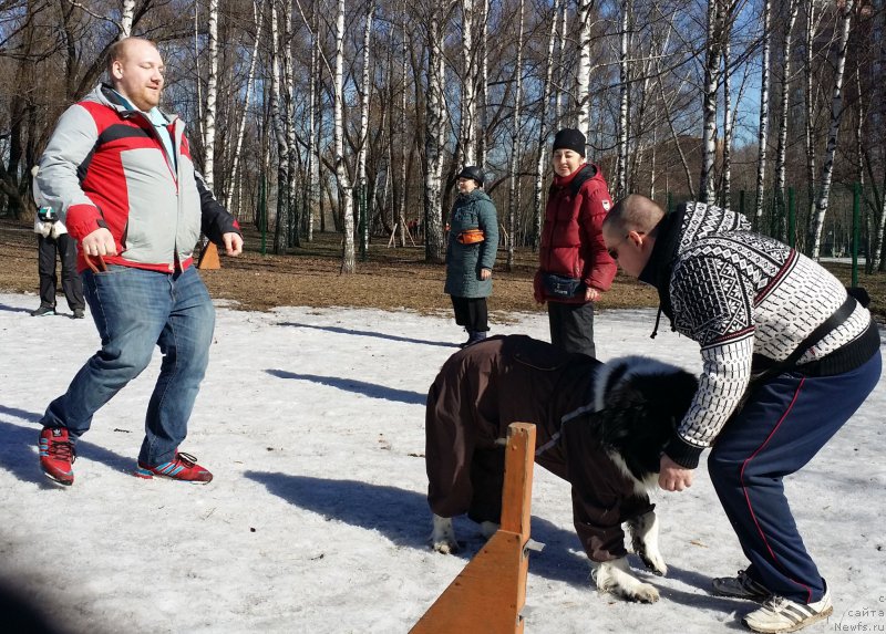 Фотография № 177127