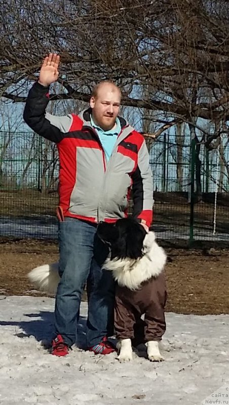 Фотография № 177133