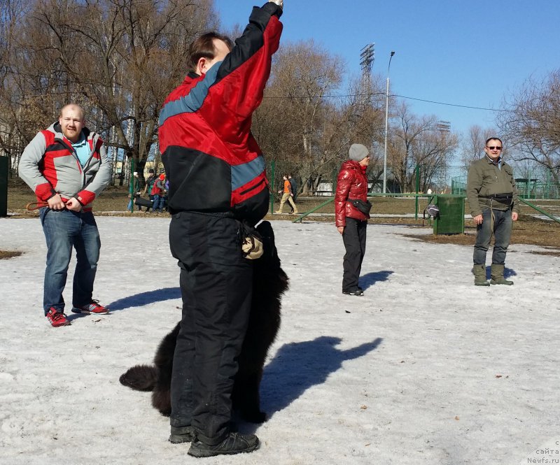 Фотография № 177134