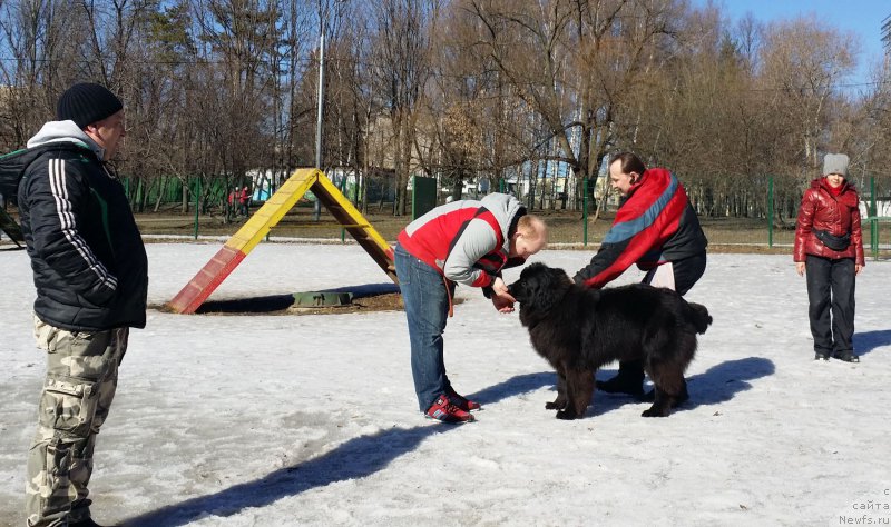 Фотография № 177137