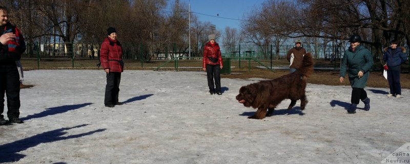 Фото: Ольга Музычук