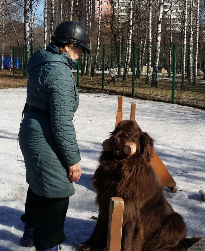 Фотография № 177151