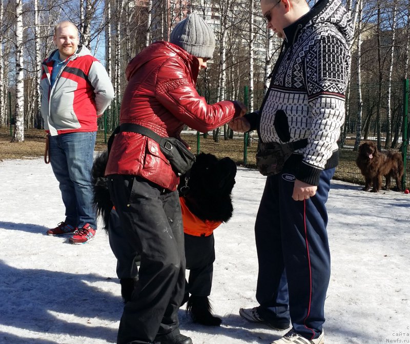 Фотография № 177163