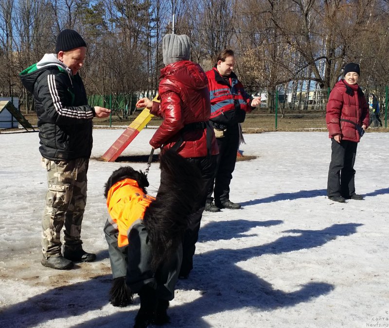 Фотография № 177164