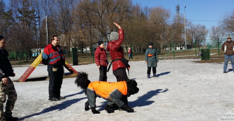 Фотография № 177169