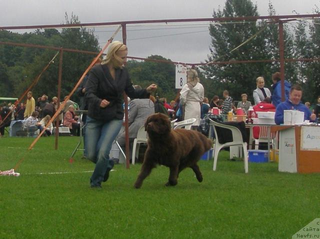 Фотография № 17717