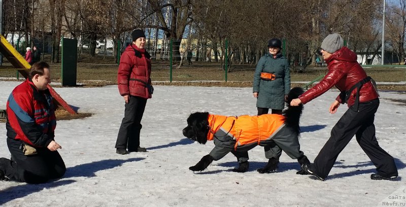 Фотография № 177170