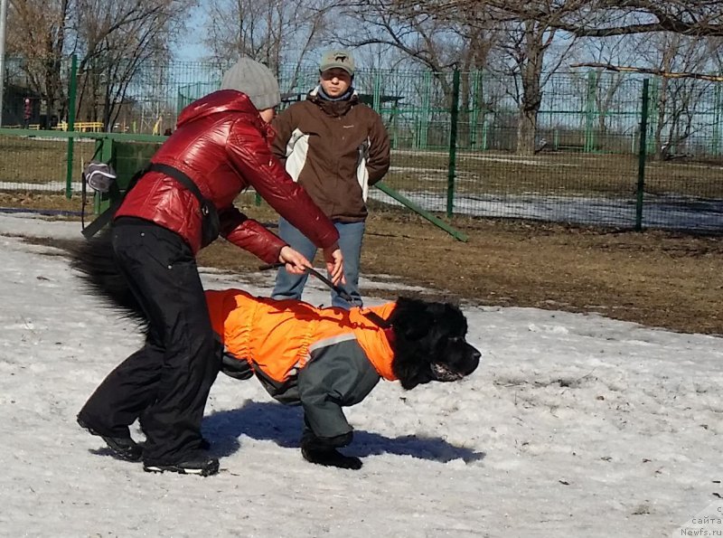 Фотография № 177172