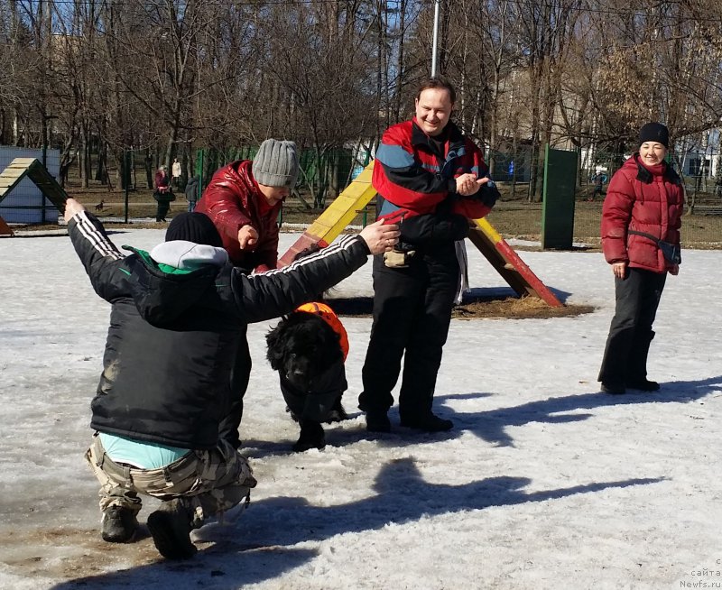 Фотография № 177173