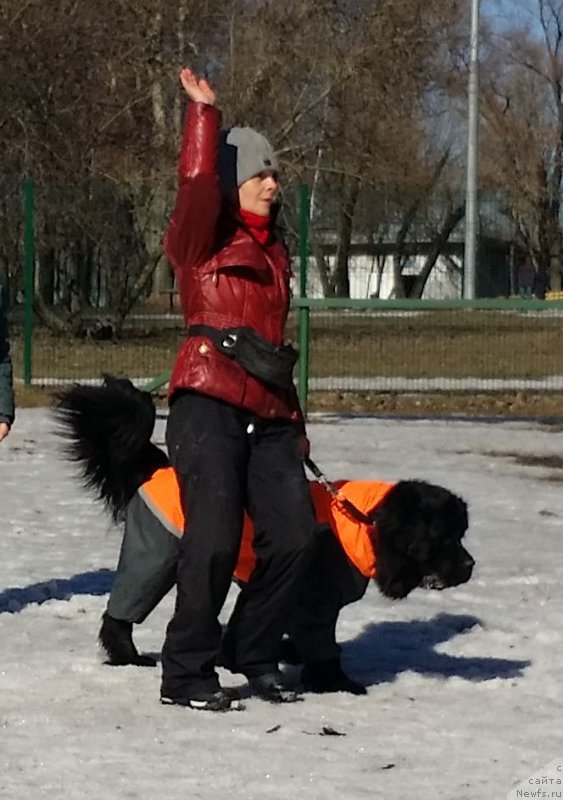 Фотография № 177175