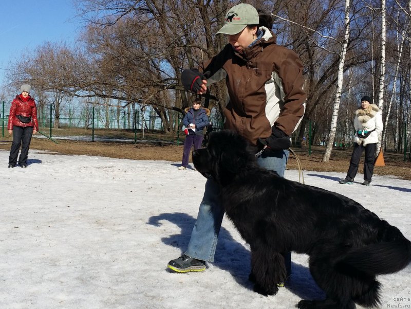 Фотография № 177181