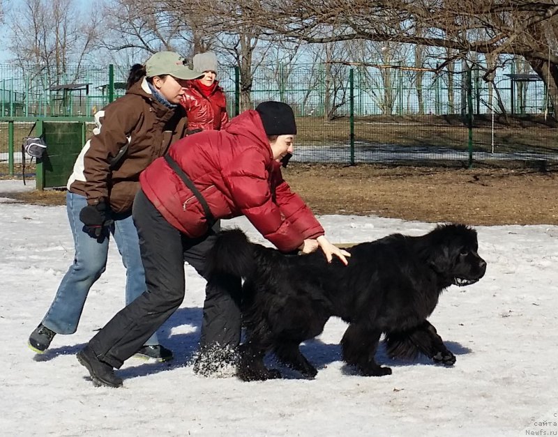 Фотография № 177183