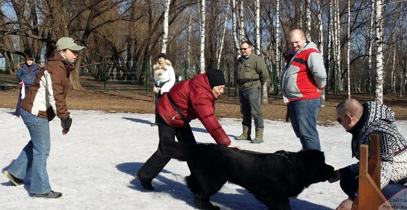 Фотография № 177184