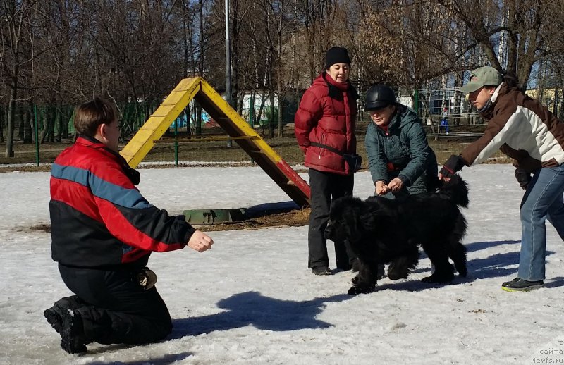 Фотография № 177186