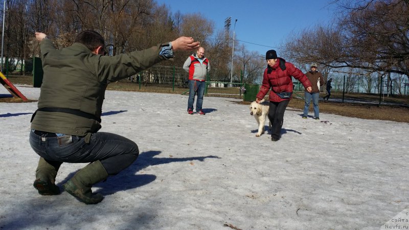 Фотография № 177187