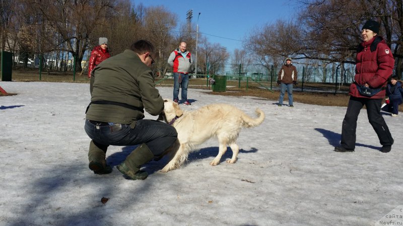 Фотография № 177189