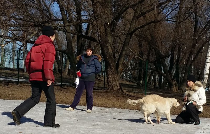 Фотография № 177190