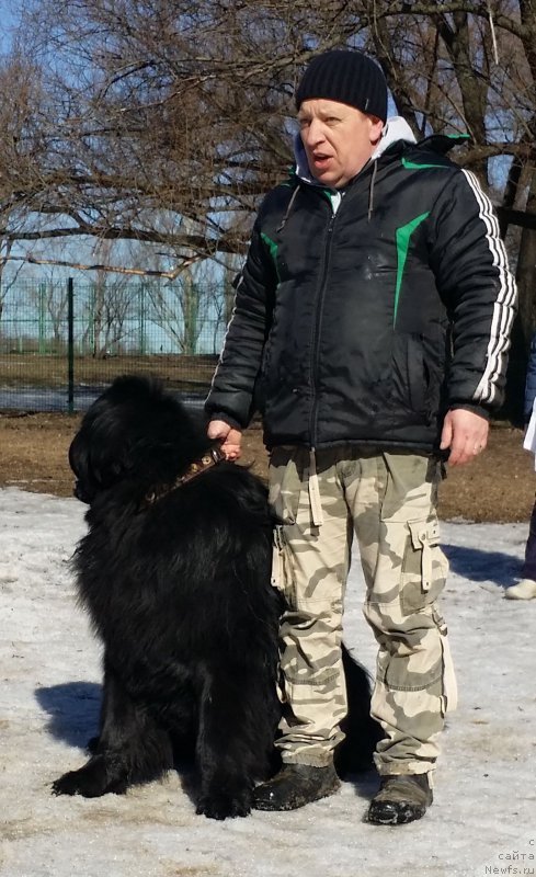 Фотография № 177194