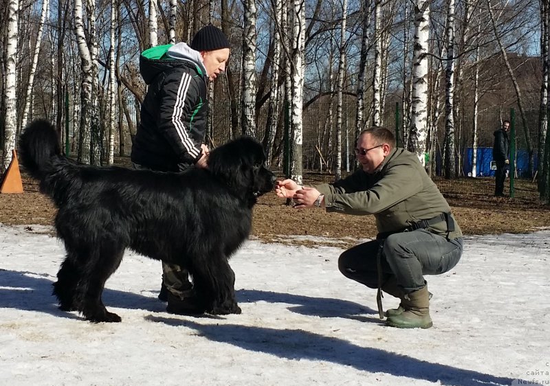 Фотография № 177197