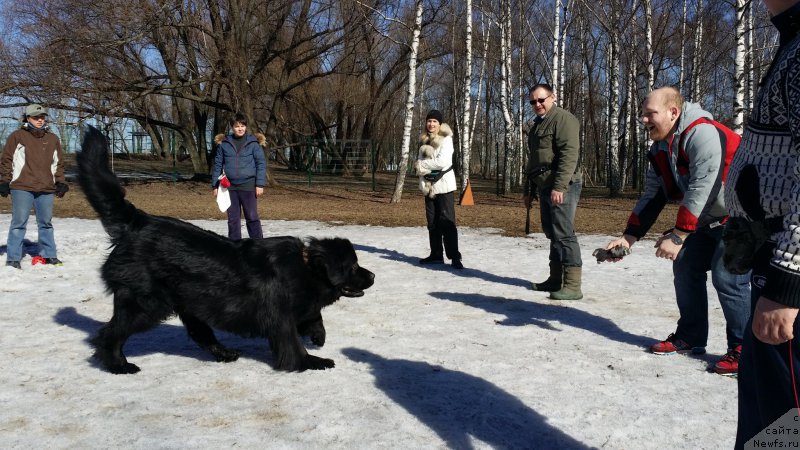 Фотография № 177204