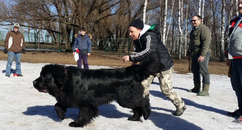 Фотография № 177205