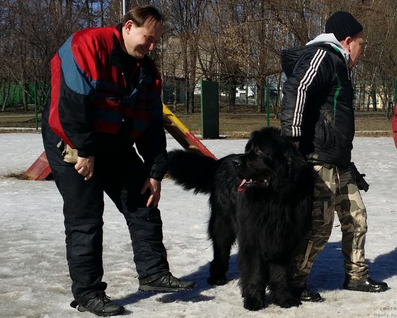 Фотография № 177209