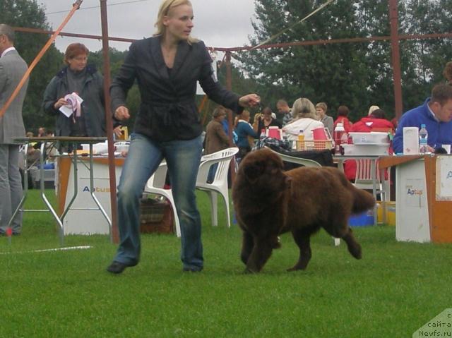 Фотография № 17723