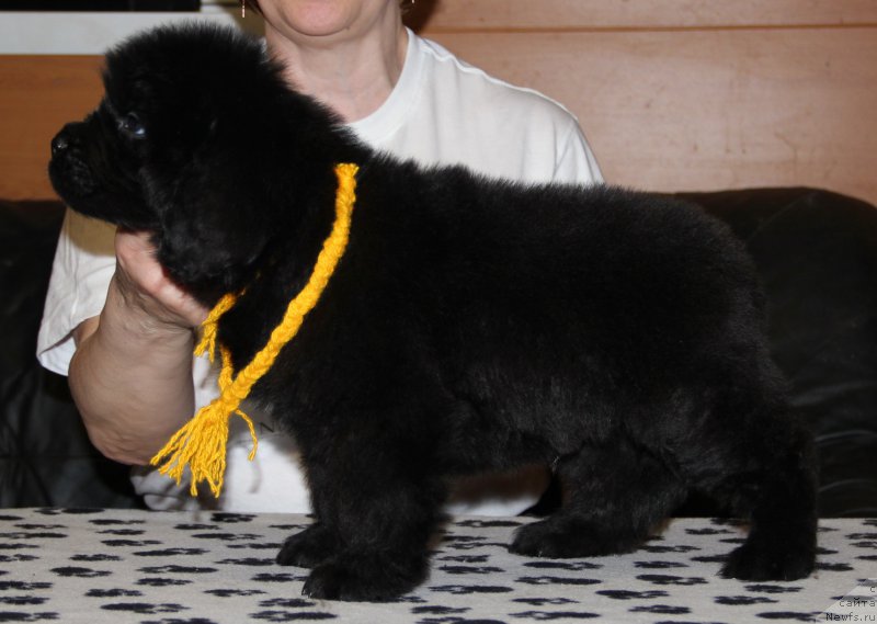 Фотография № 177249