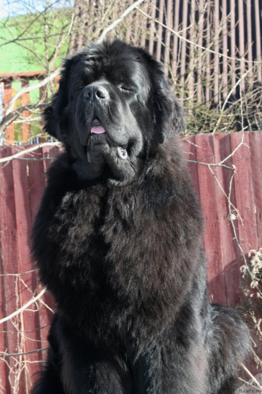 Фотография № 177252