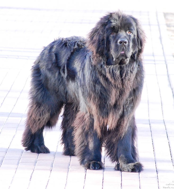 Фотография № 177254