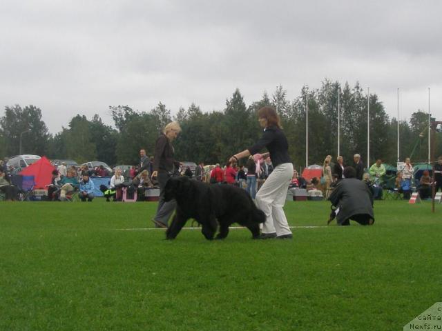 Фотография № 17726