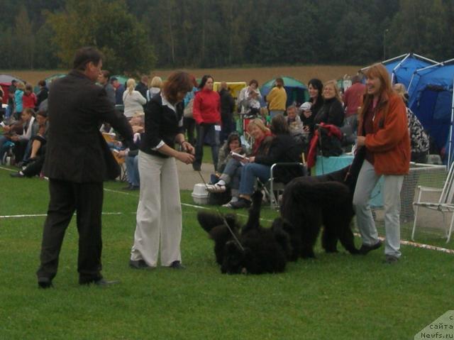 Фотография № 17727