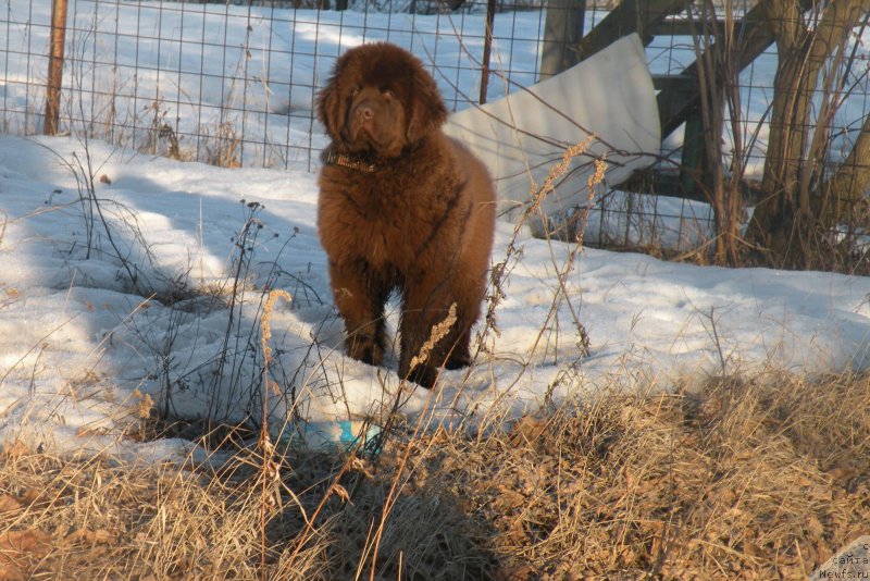 Фотография № 177277