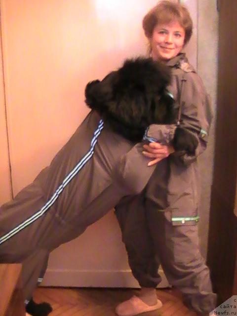 Фотография № 17728