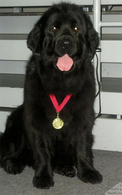 Фотография № 17729