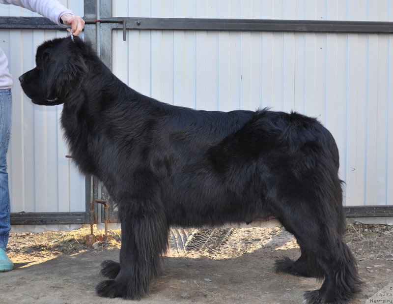 Фотография № 177293