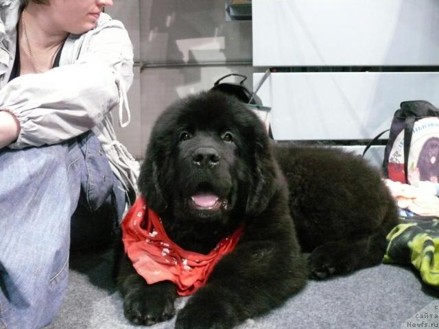 Фотография № 17731