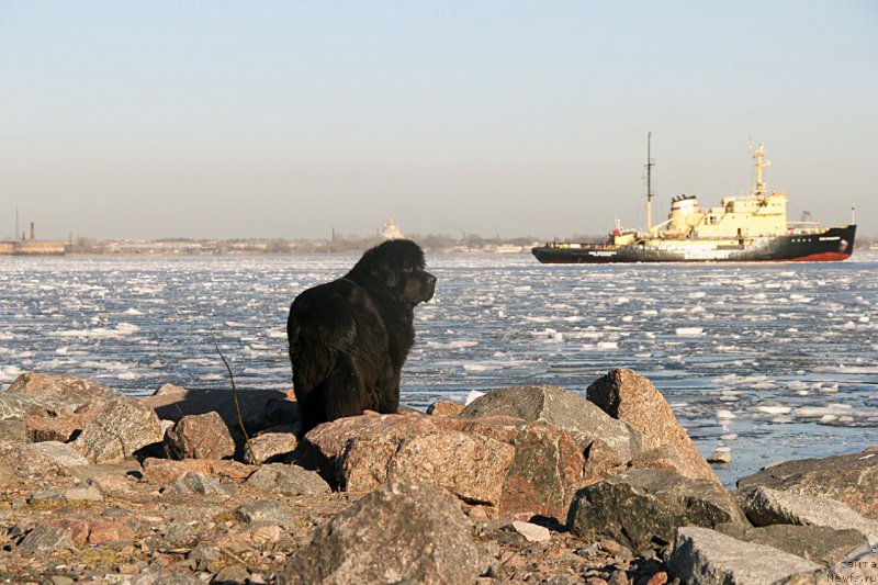 Фотография № 177312