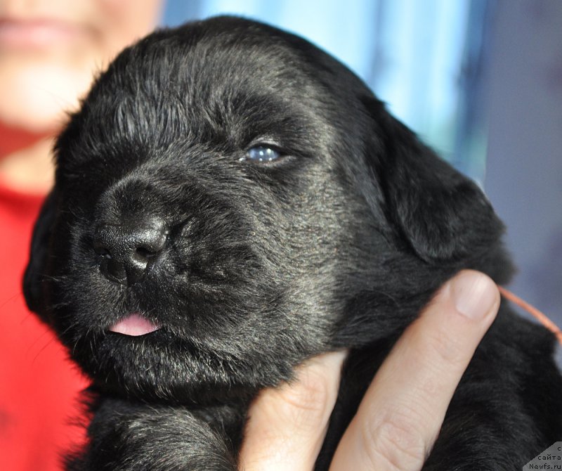 Фотография № 177315