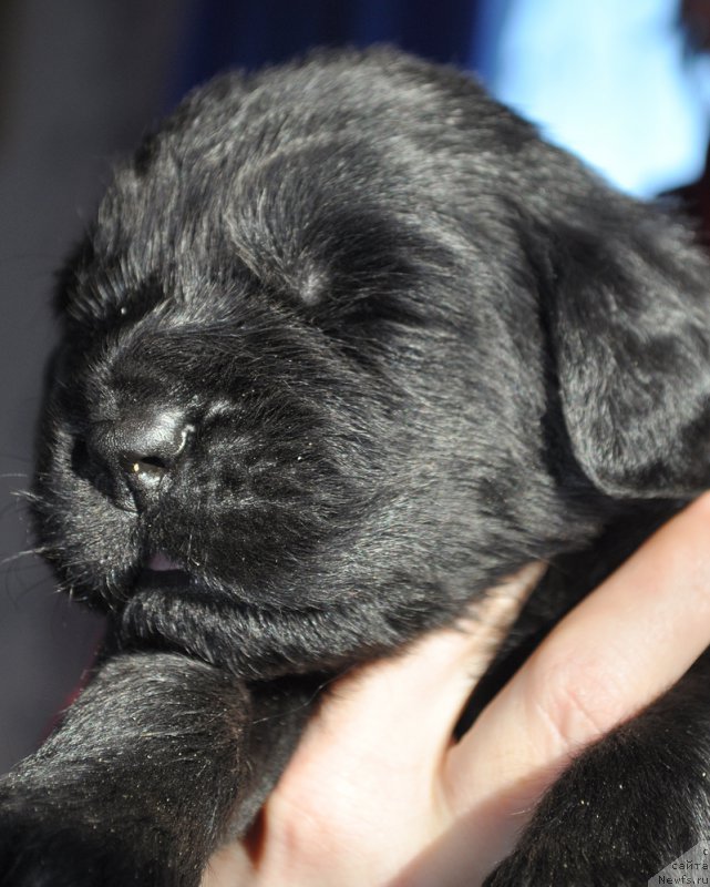 Фотография № 177322