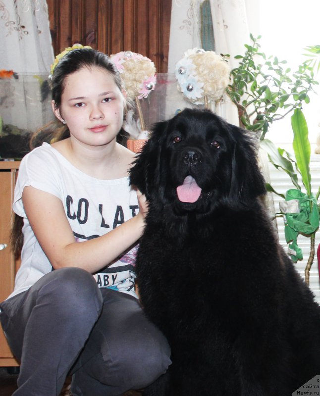 Фотография № 177323