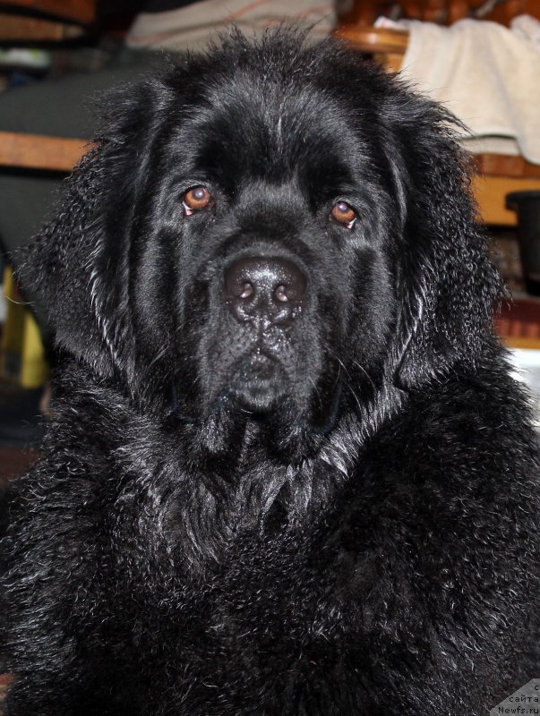 Фотография № 177324