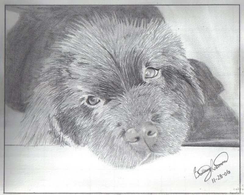 Фотография № 177325