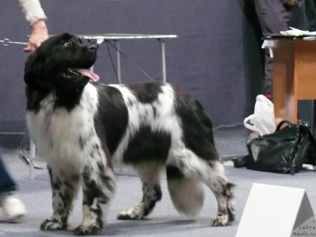 Фотография № 17734