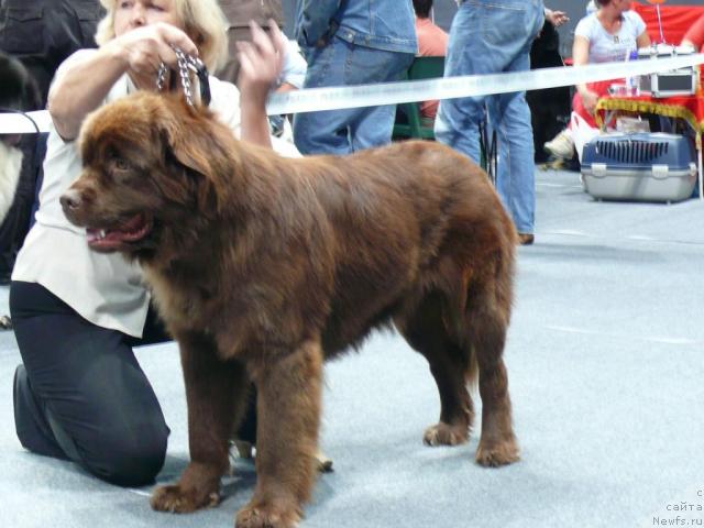 Фотография № 17735