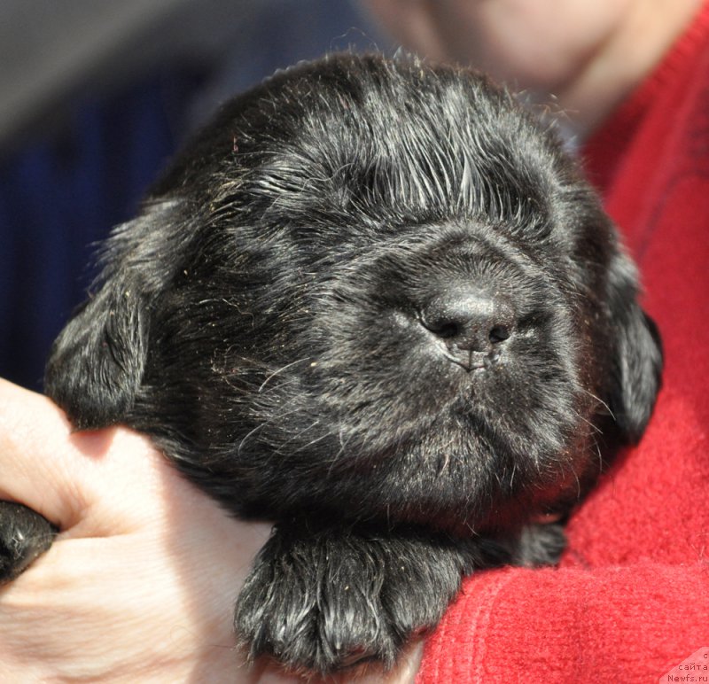 Фотография № 177351