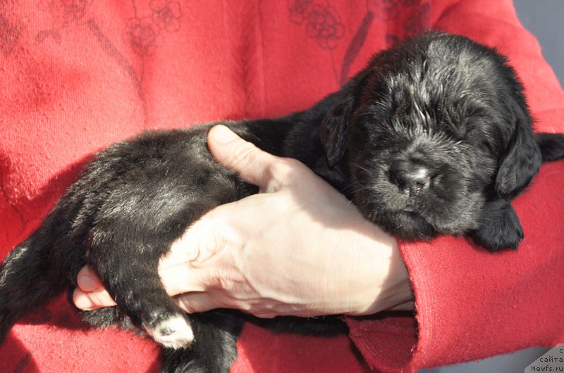 Фотография № 177361